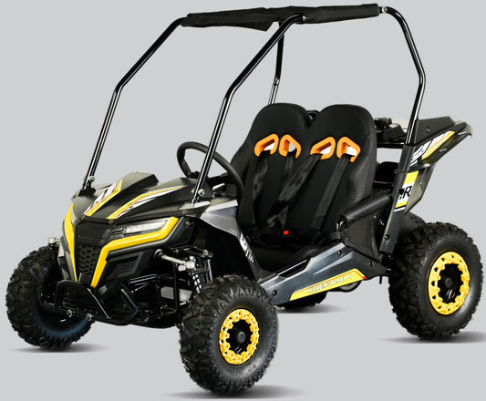 TrailMaster Cheetah 6 Youth Go-Kart - 163cc 5.5HP Engine, 4-Point Safety Belt, Remote Kill, Speed Governor, Suitable for Kids 6-12. with Pre-Assembled Version Now! (Pre-Assembled, Blue)