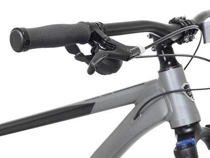 Bicycles 29" Men's Trouvaille Mountain Bike Large, Black and Taupe
