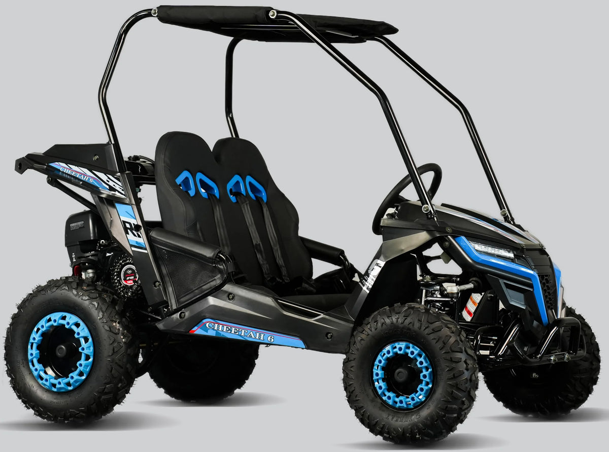 TrailMaster Cheetah 6 Youth Go-Kart - 163cc 5.5HP Engine, 4-Point Safety Belt, Remote Kill, Speed Governor, Suitable for Kids 6-12. with Pre-Assembled Version Now! (Pre-Assembled, Blue)