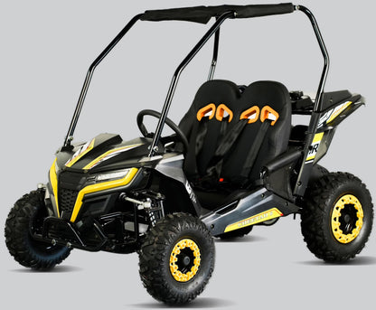 TrailMaster Cheetah 6 Youth Go-Kart - 163cc 5.5HP Engine, 4-Point Safety Belt, Remote Kill, Speed Governor, Suitable for Kids 6-12. with Pre-Assembled Version Now! (Pre-Assembled, Blue)