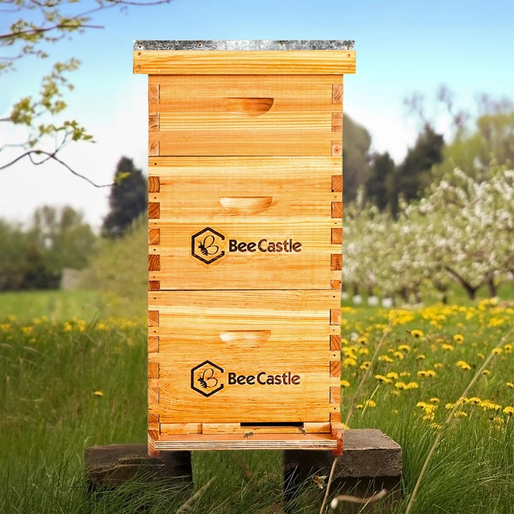 Bee Castle 10-Frame Beeswaxed Complete Bee Hives Kit with 2 Deep Box and 1 Medium Box
