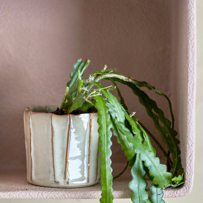 Anna-Li glazed stoneware plant pot