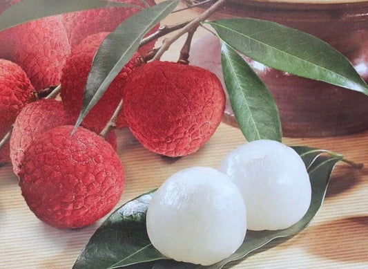 Sweetheart lychee TREE air layered (3-4 Feet Tall). Ship to all states