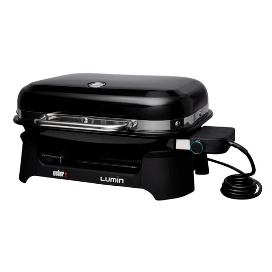 WEBER 92010901 electric bbq