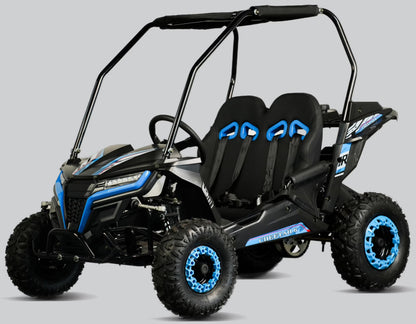 TrailMaster Cheetah 6 Youth Go-Kart - 163cc 5.5HP Engine, 4-Point Safety Belt, Remote Kill, Speed Governor, Suitable for Kids 6-12. with Pre-Assembled Version Now! (Pre-Assembled, Blue)