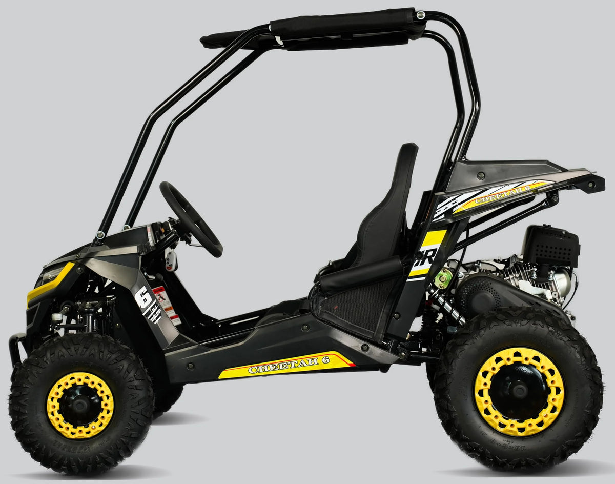 TrailMaster Cheetah 6 Youth Go-Kart - 163cc 5.5HP Engine, 4-Point Safety Belt, Remote Kill, Speed Governor, Suitable for Kids 6-12. with Pre-Assembled Version Now! (Pre-Assembled, Blue)